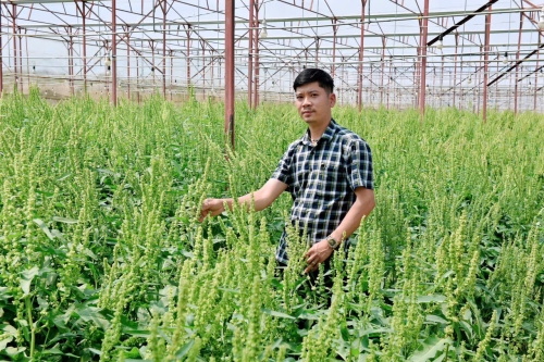 Giới Thiệu